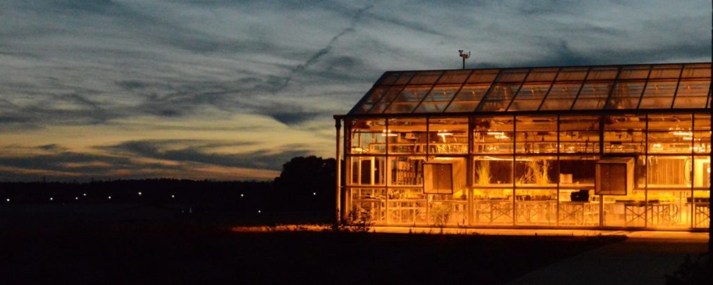 Turfgrass Greenhouse