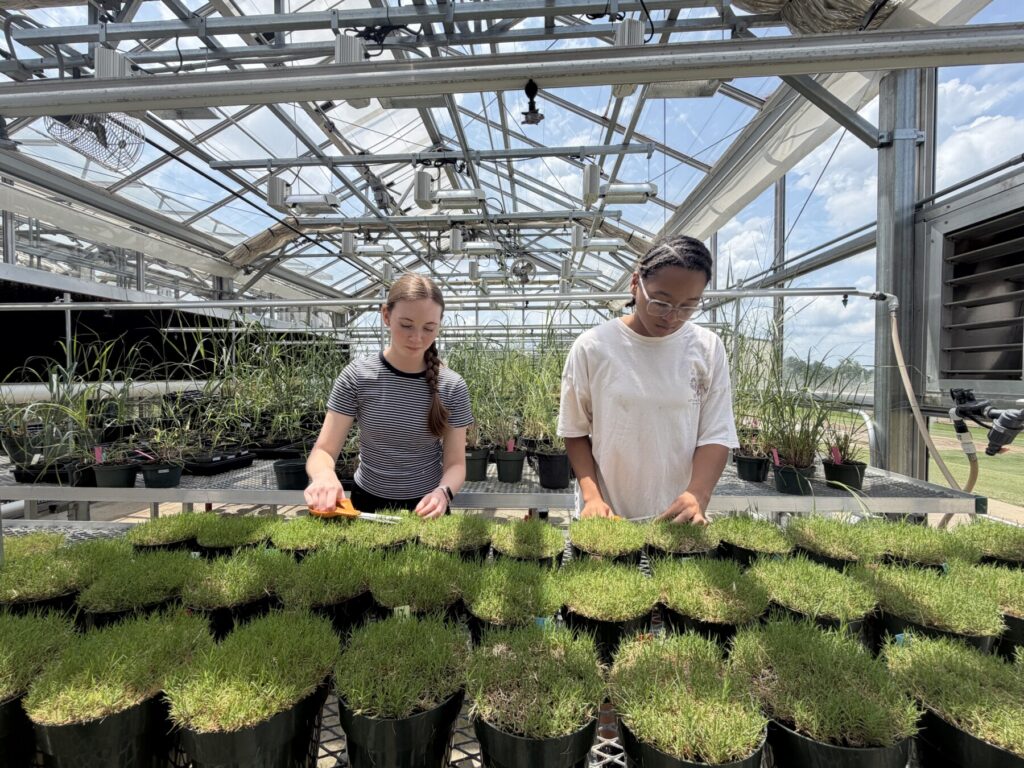 Young Scholar Program, 2026, UGA, Griffin Campus 